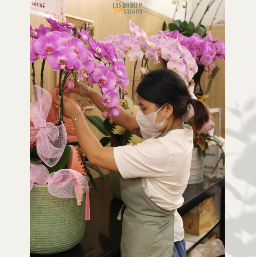 Lan Hồ Điệp Sài Gòn - Shop bán hoa lan đẹp và chất lượng
