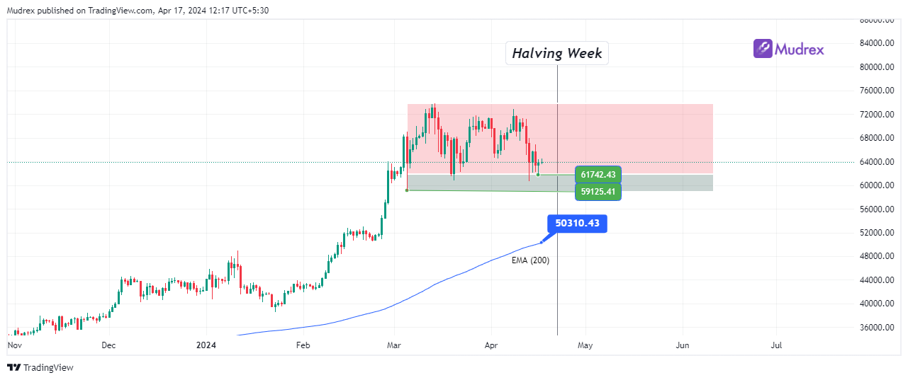 Decoding The Bitcoin Halving: Price Action and Market Sentiments