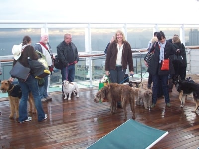 Cruise which allows dogs