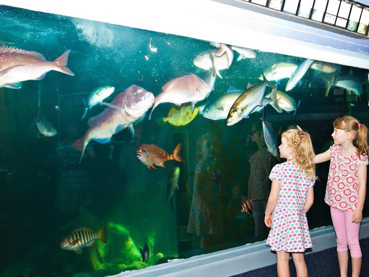 children enjoying the view of big fishes