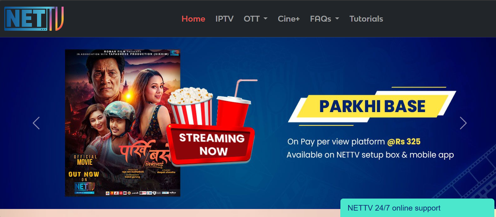 NETTV website snapshot highlighting the services it offers.