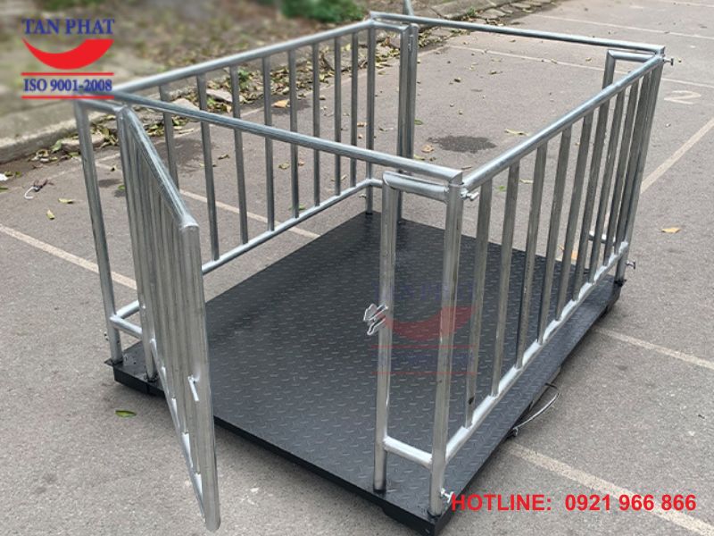 cân sàn điện tử 2 tấn
