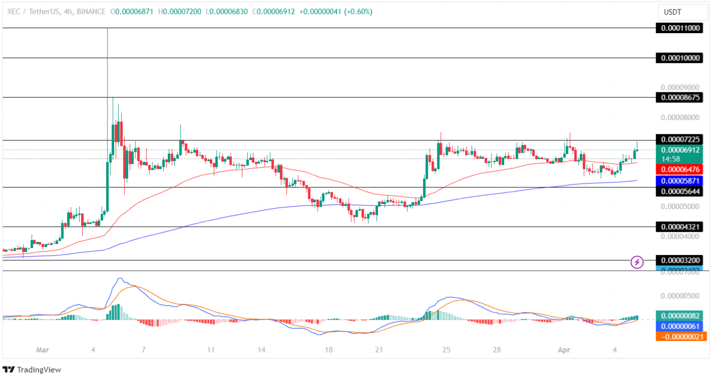 XEC Price Surges! eCash Price To Jump 20% This Month?