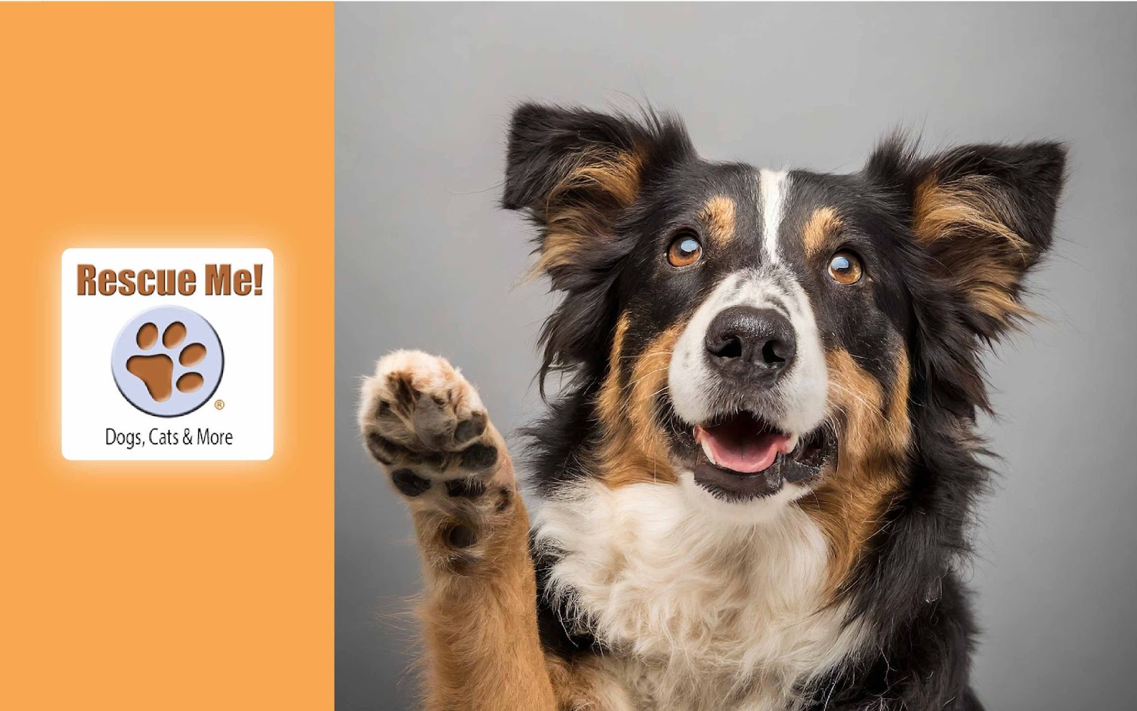 Rescue Me - best pet adoption website 