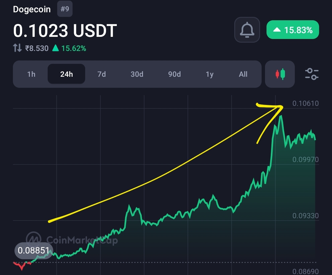 Elon Musk's favourite crypto Doge pumps 17%, It's Doge's 10th birthday 1