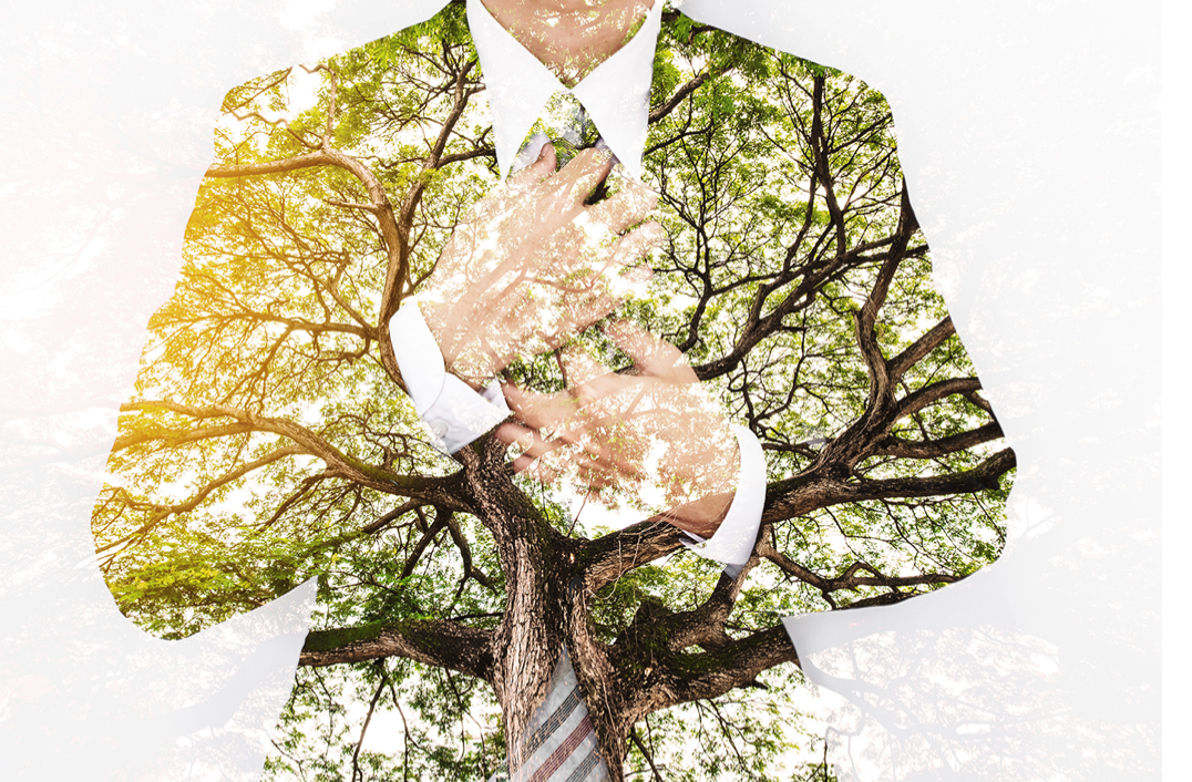 Sustainable Express Eco Threads