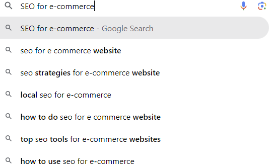 SEO for e-commerce Google search results screenshot