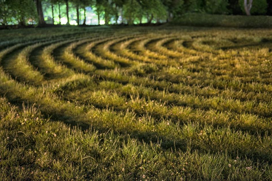 Wiltshire named crop circle hotpspot after recent sighting | Salisbury  Journal