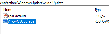 renommer AllowOSUpgrade