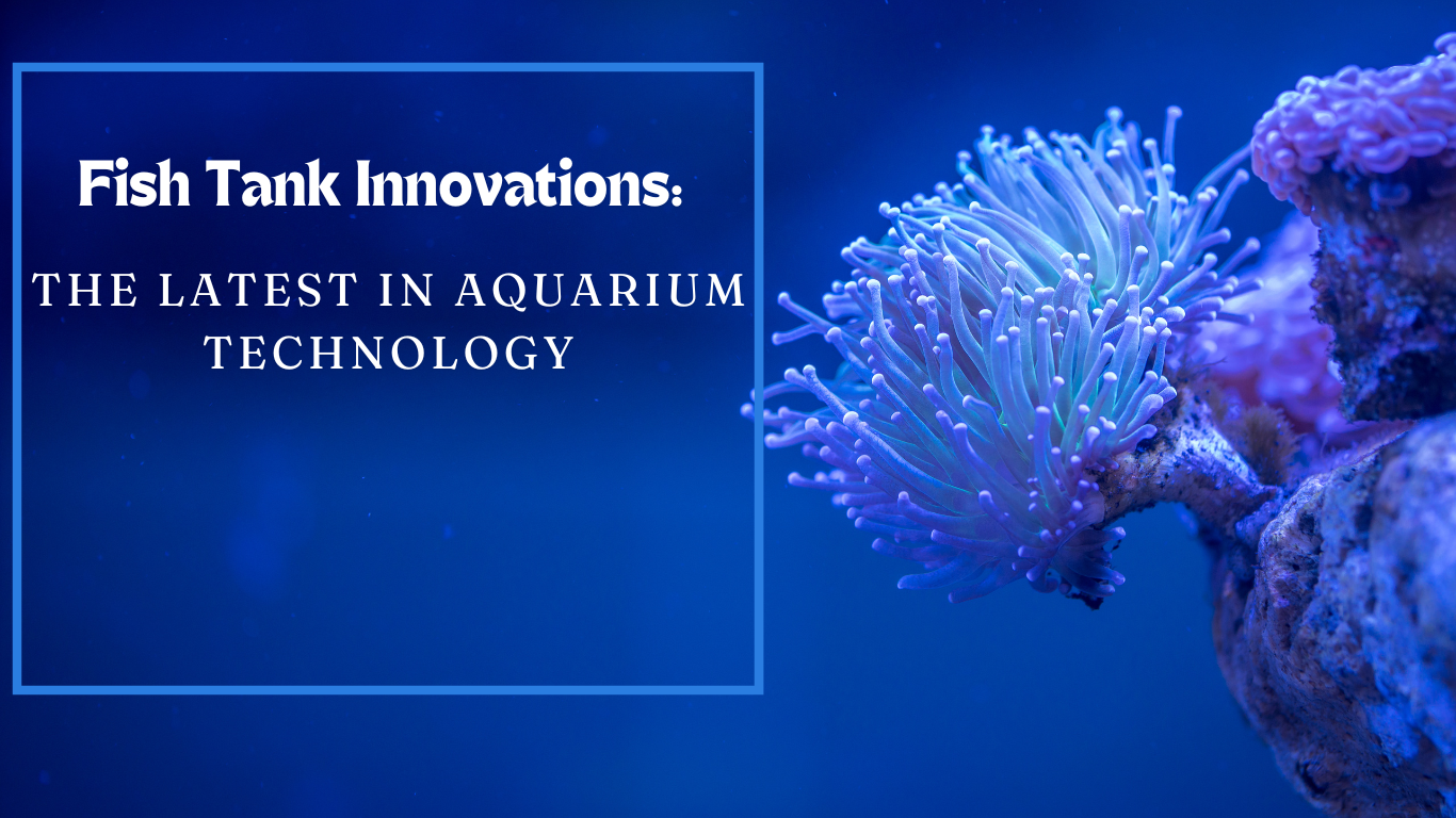The Latest in Aquarium Technology: Fish Tank Innovations