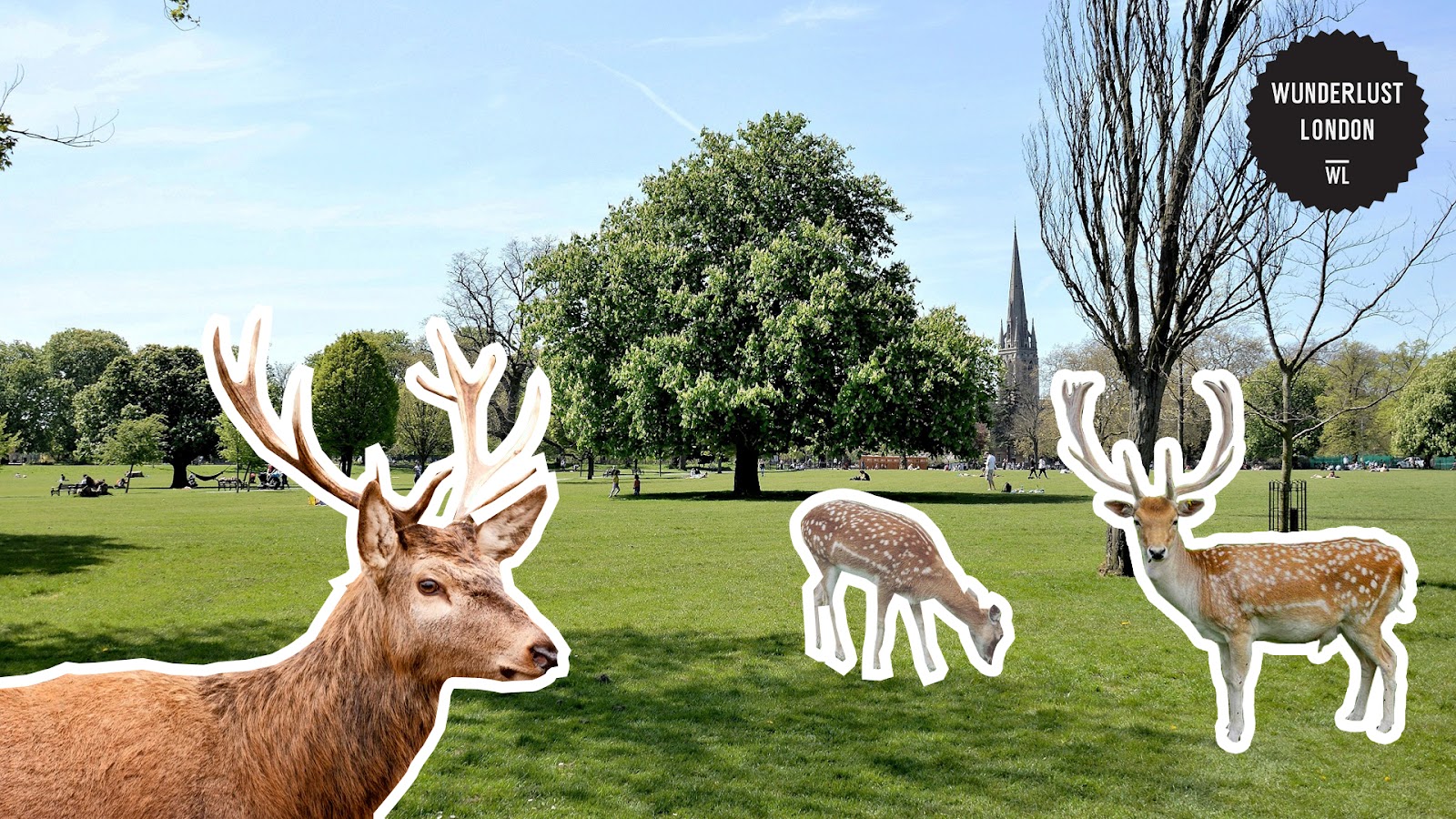 Clissold Park 