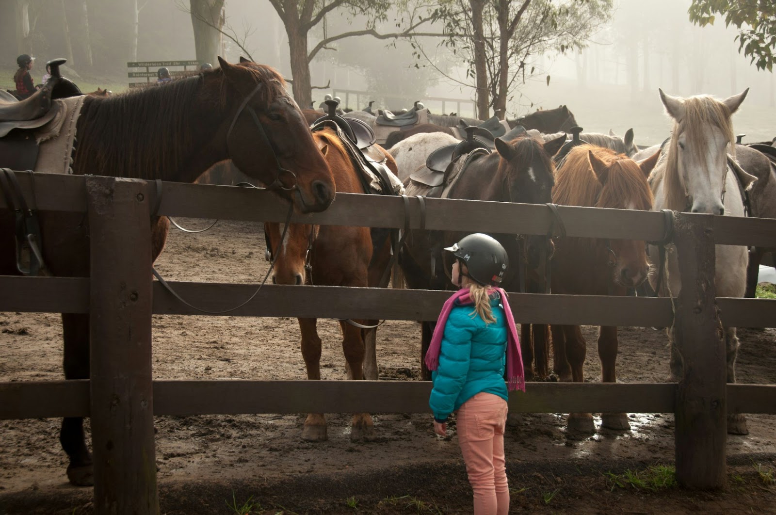 A child ready to go horseback riding standing at a fence looking at a horse with more horses in the background.