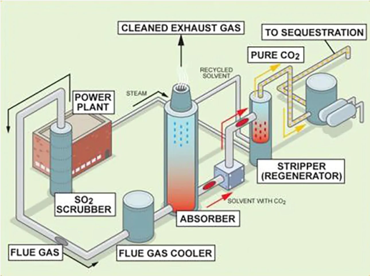 Diagram of a plant with different types of gas

Description automatically generated