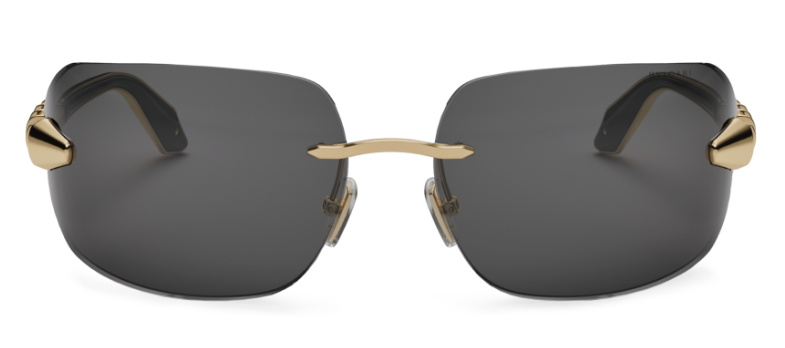 A pair of sunglasses with black lenses

Description automatically generated