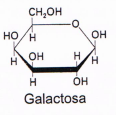 Diagrama, Esquemático

Descripción generada automáticamente