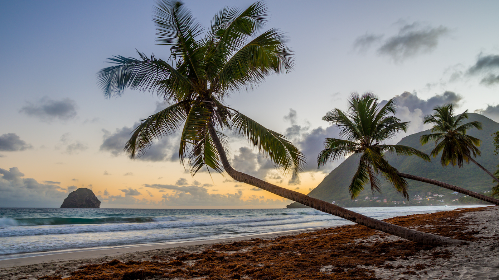 lieux et choses à faire en Martinique plage du diamant