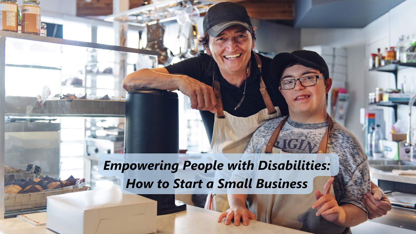 disability support business plan