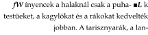 C:\Users\İsmail Hayyam\AppData\Local\Microsoft\Windows\INetCache\Content.MSO\7200E8B3.tmp