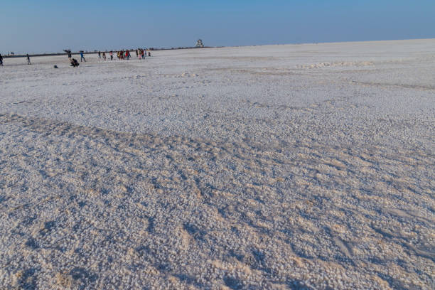 Rann of Kutch, whitе salt dеsеrt