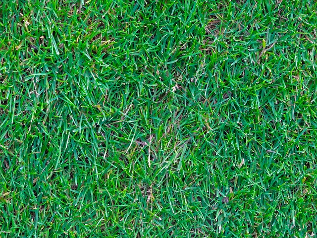Artificial-Grass-Color-1/2