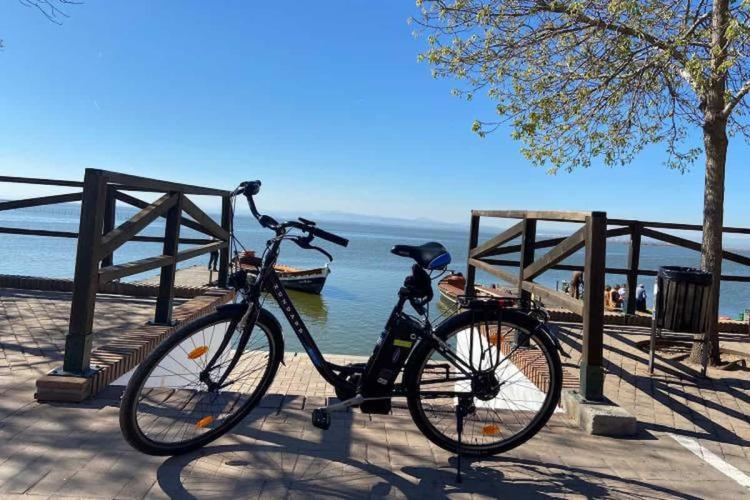 Bicicleta en un embarcadero de la Albufera