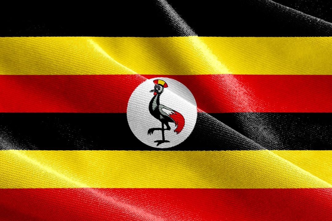 uganda-evisa-2024-simplifying-travel-procedures-for-seamless-journeys-7