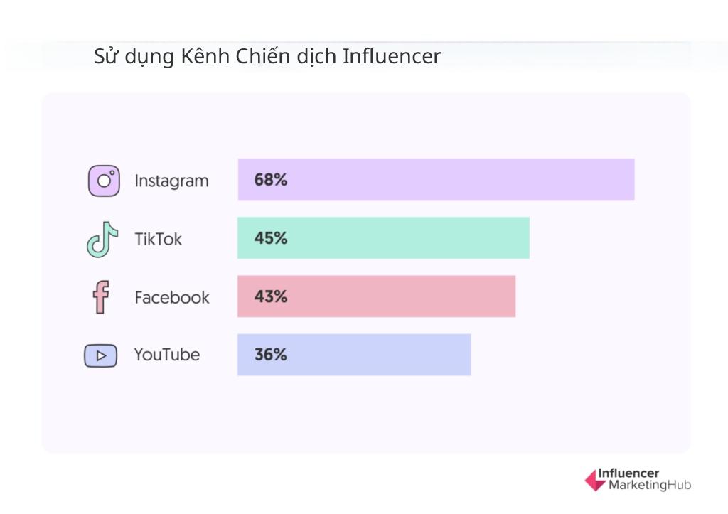 Influencer Campaign Channel Utilization