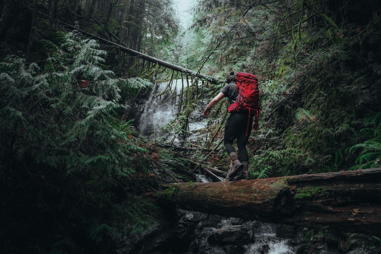 a hiker balancing on a fallen log crossing a creek with a red backpack on their back