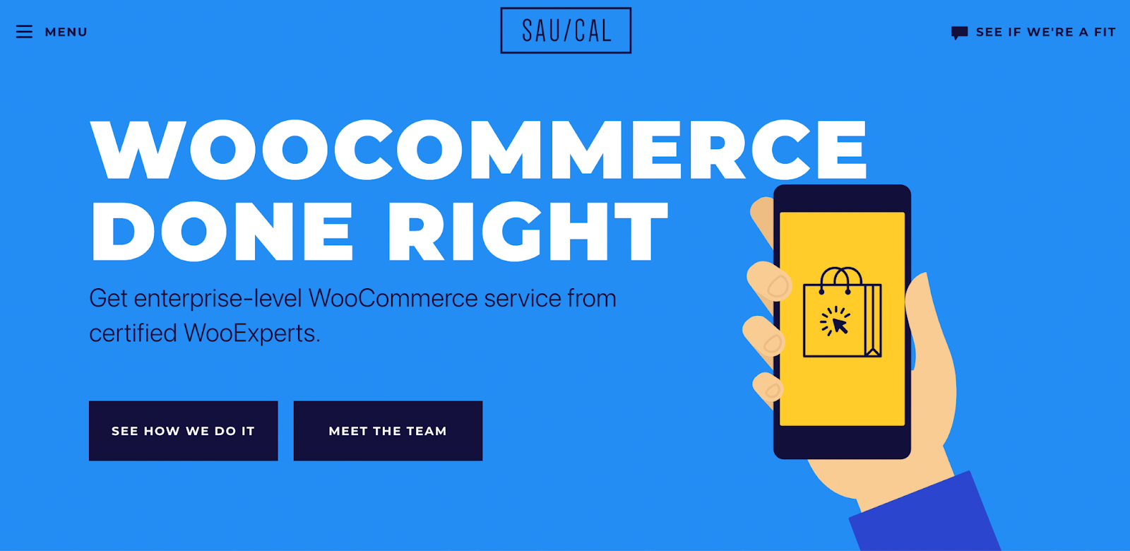 Saucal for wordpress outsourcing