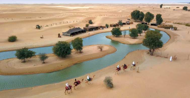 Dubai: Morning Camel Safari & Breakfast at Al Marmoom Oasis | GetYourGuide
