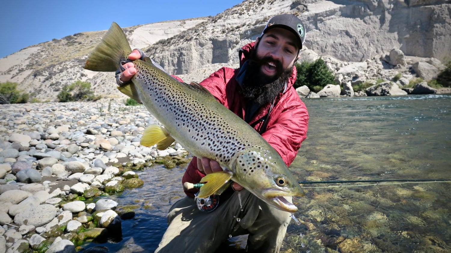 Fly Fishing In Beaver Creek