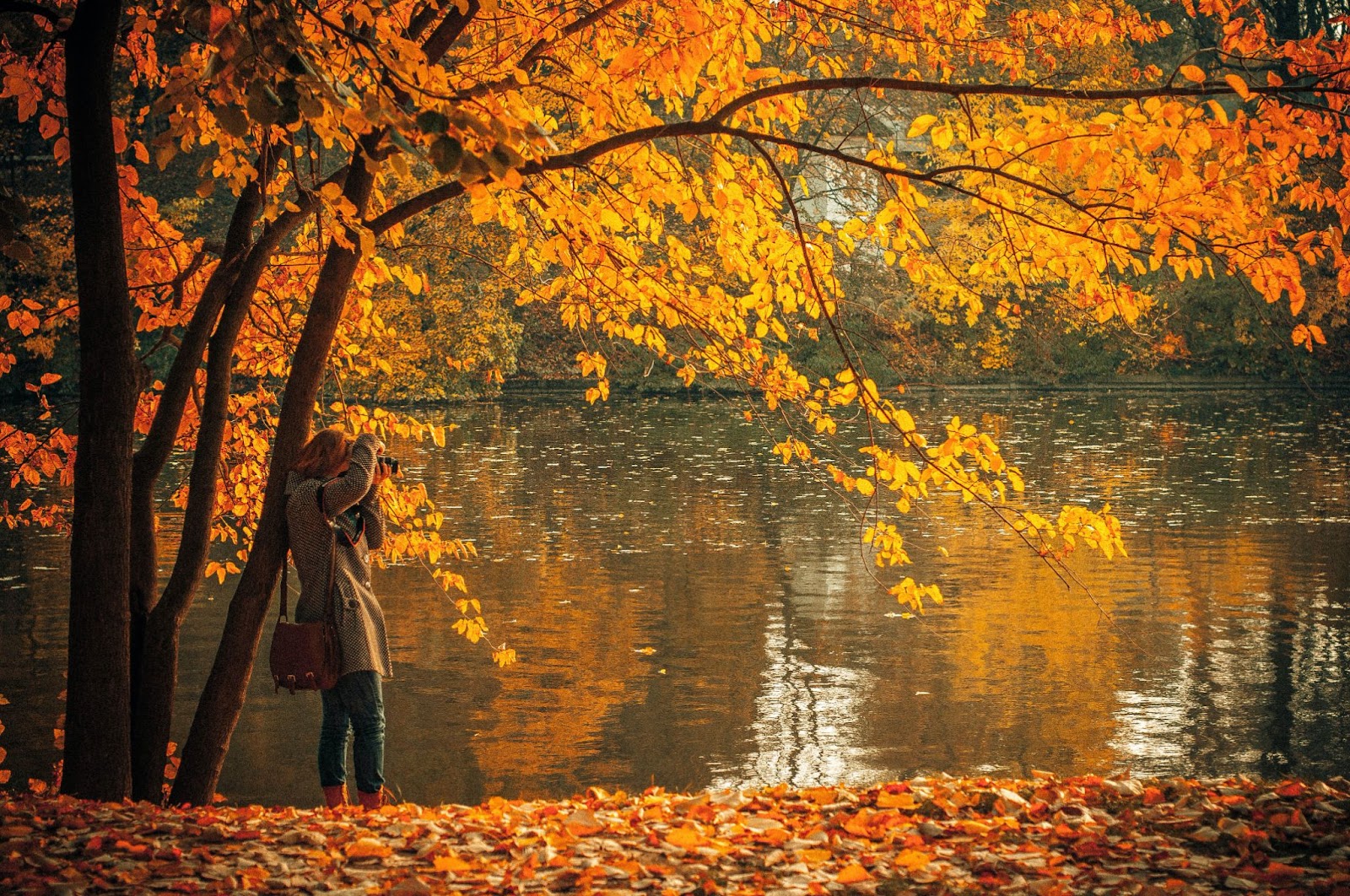 3. Parcul Herăstrău