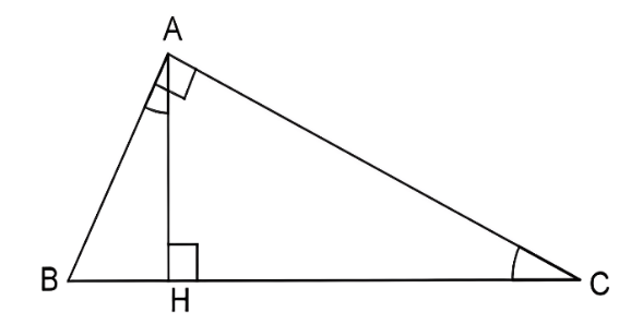 A triangle with a square and a square

Description automatically generated with medium confidence