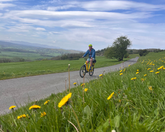 A person riding a bicycle on a road with grass and flowers

Description automatically generated