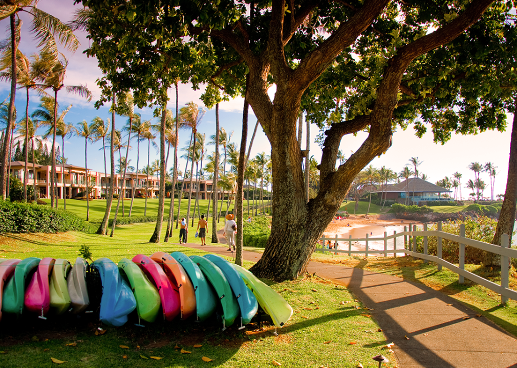 Colorful kayaks laying under a tree in Maui with a beach and palm trees in the background.