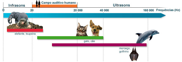 frequencias-sonoras-ouvido-pelo-homem-e-alguns-animais.jpg