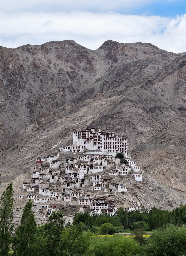 Architectural structures on the hilly Ladakh region - Building techniques used in Ladakh architecture are climate specific.