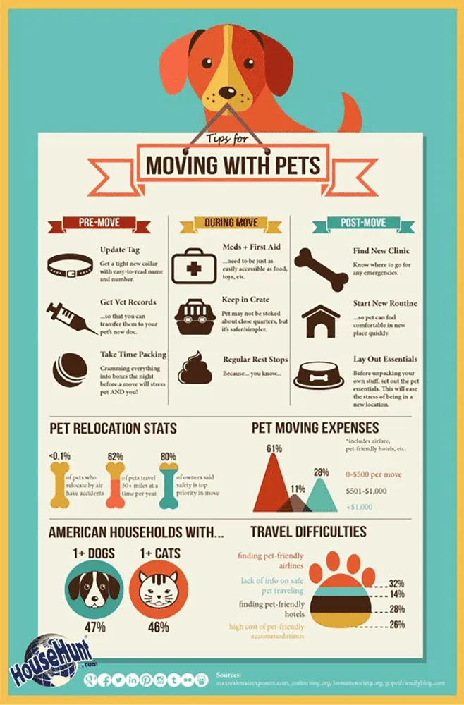 sample infographic on moving with pets