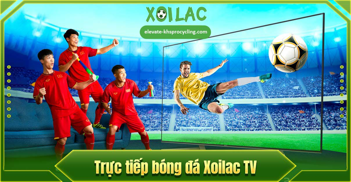 Xoilac TV là điểm đến lý tưởng cho cả người mới và người hâm mộ bóng đá lâu năm