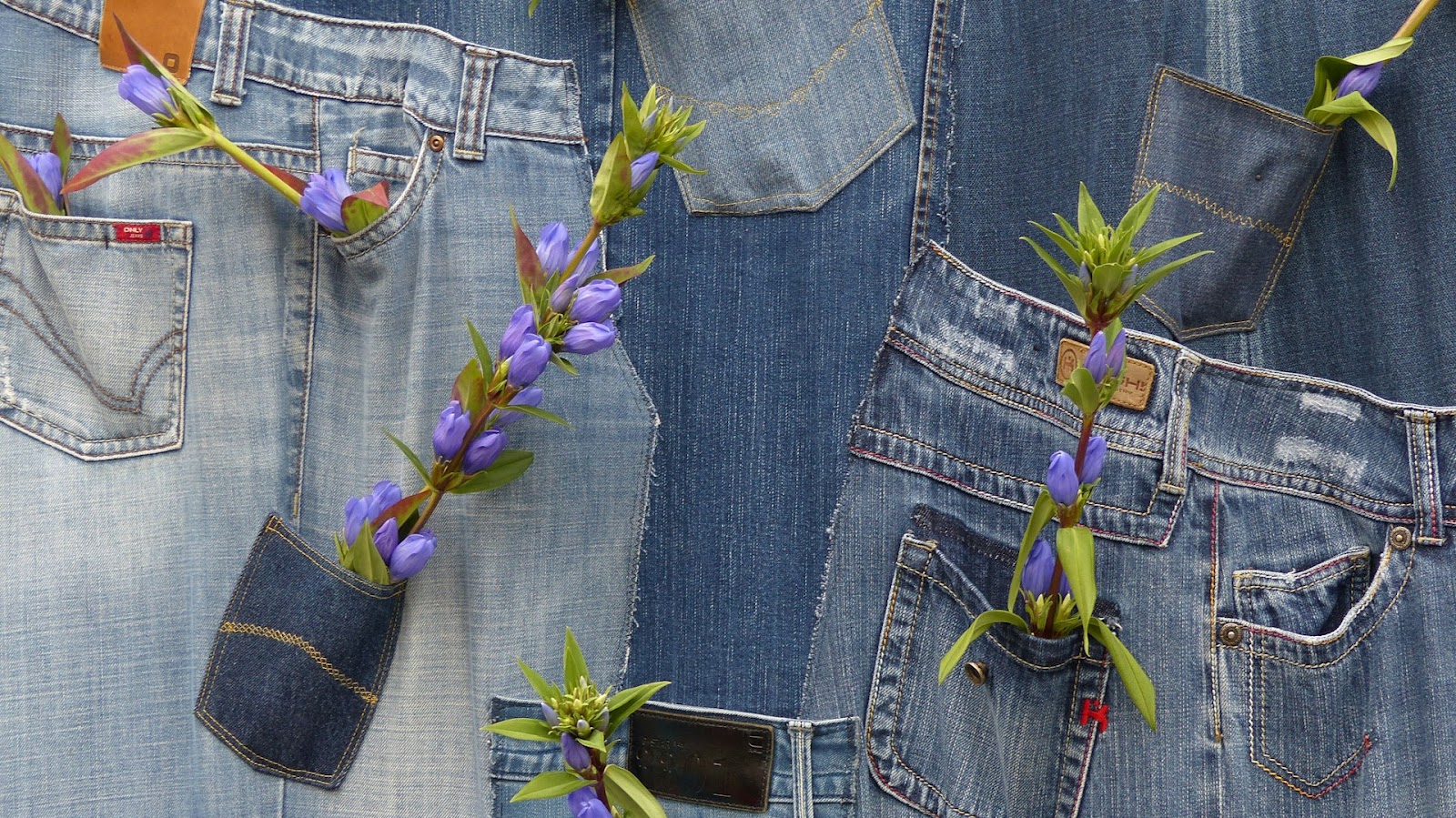 A close-up of jean pockets with a small green plant tucked inside each