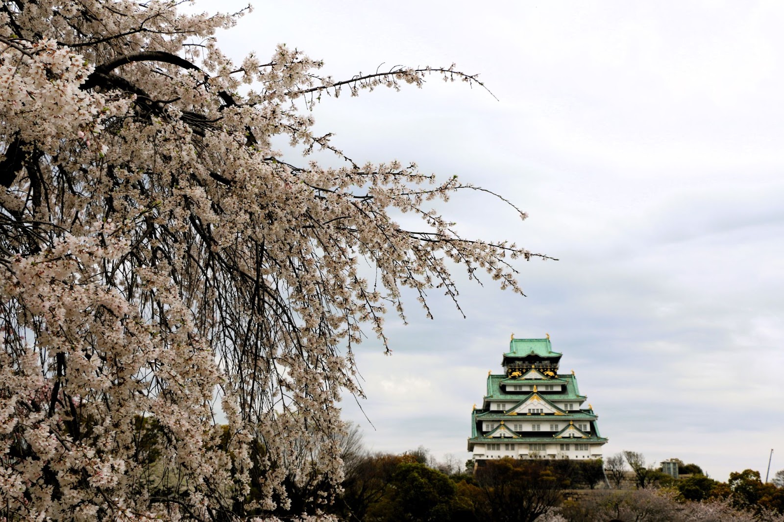 大阪城公園