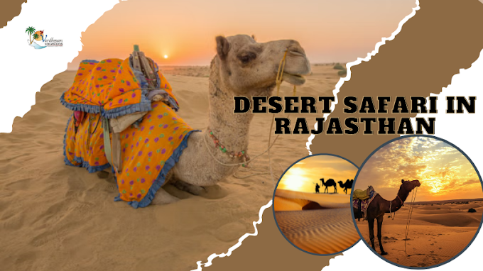 Exploring the Vibrant Dunes: A Thrilling Desert Safari in Rajasthan