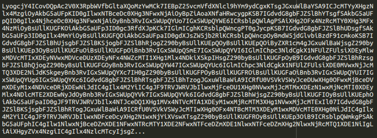 Obfuscated base64 code present in tott log file