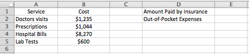 Screen capture showing Tanika's spreadsheet, indicating the following: A1 = Service B1 = Cost D1 = Amount Paid by Insurance A2 = Doctors visits B2 = $1,235 D2 = Out-of-pocket expenses A3 = Prescriptions B3 = $1,044 A4 = Hospital bills B4 = $8,270 A5 = Lab tests B5 = $600