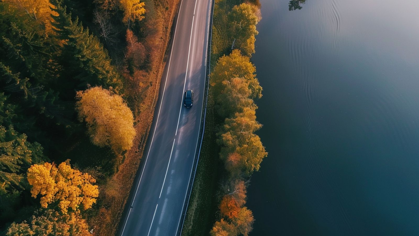 Aerial shot of a scenic road near the water in Warsaw, Poland