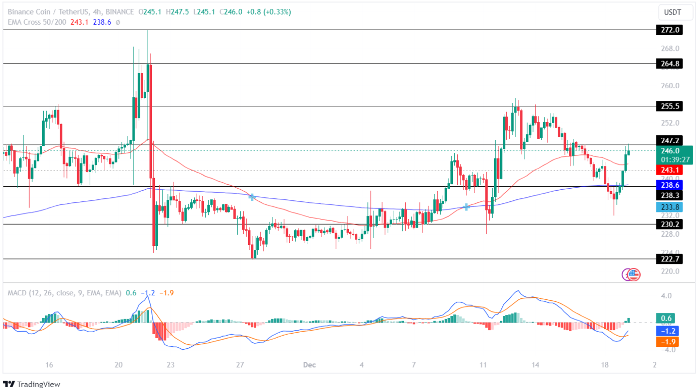 Binance Coin Price Analysis