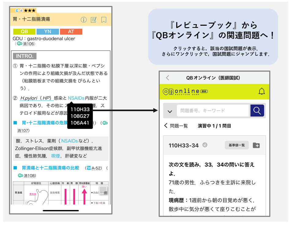 レビューブック』アプリで叶う，実習～国試対策のスマートな学習 