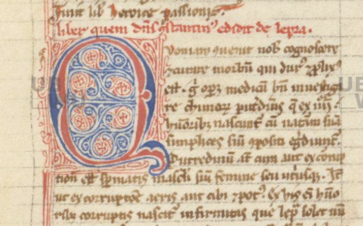 The opening of the text of Constantine the African’s De elephancia (On Leprosy), showing a handwritten manuscript page and a large initial letter ‘Q’ with filigree in red and blue ink. Source: Würzburg, Universitätsbibliothek, m. p. med. f. 3, f. 183r (detail).