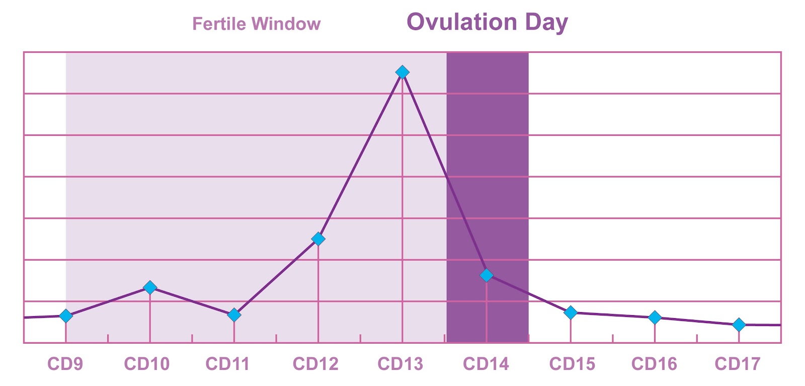 The relationship between an Lh peak and your ovulation day