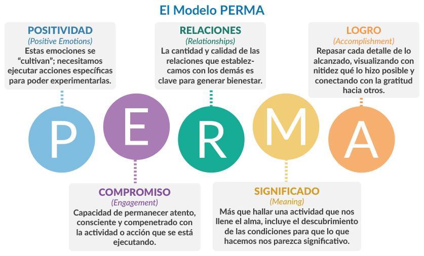 Resultado de imagen para imagen del modelo PERMA SELIGMAN